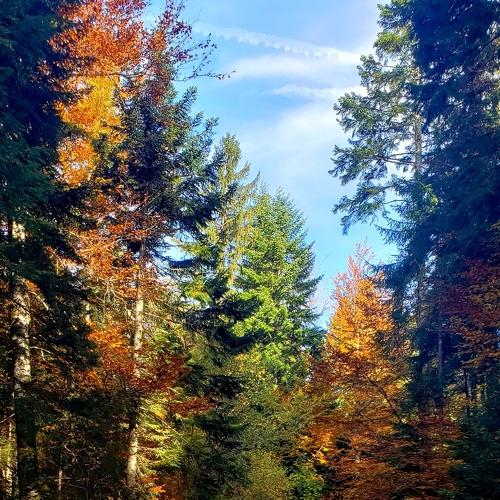 Photo #3761741