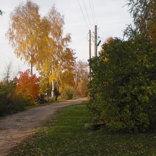 Photo #3762241