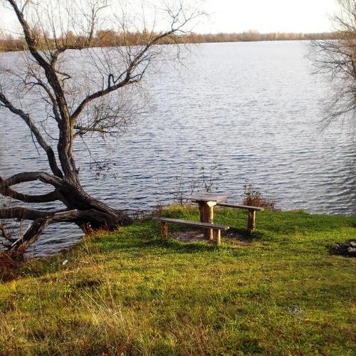 Photo #3762366