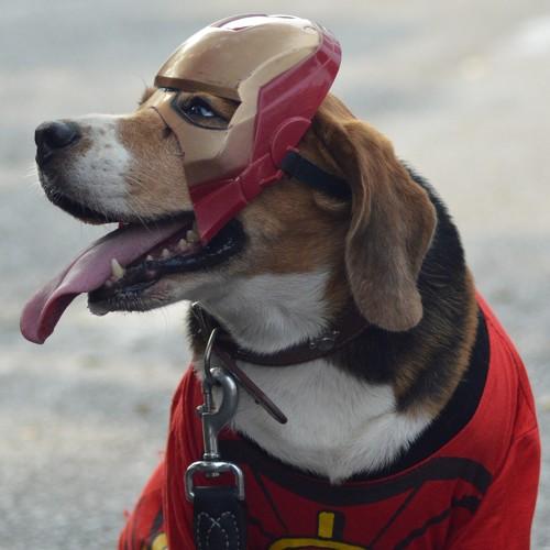 Photo #3762486