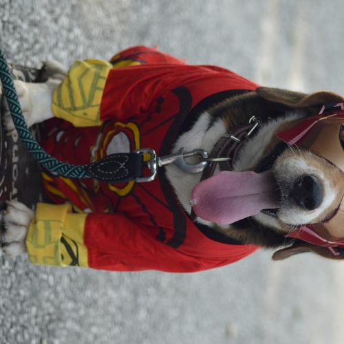 Photo #3762496