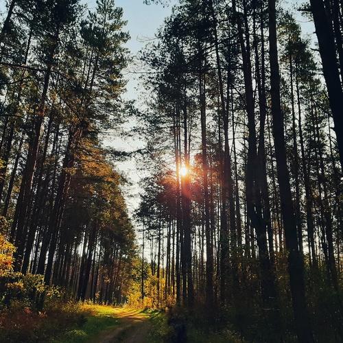 Photo #3762505