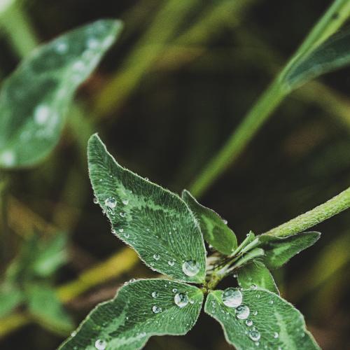 Photo #3763187