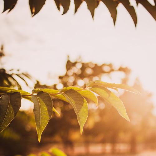 Photo #3763196