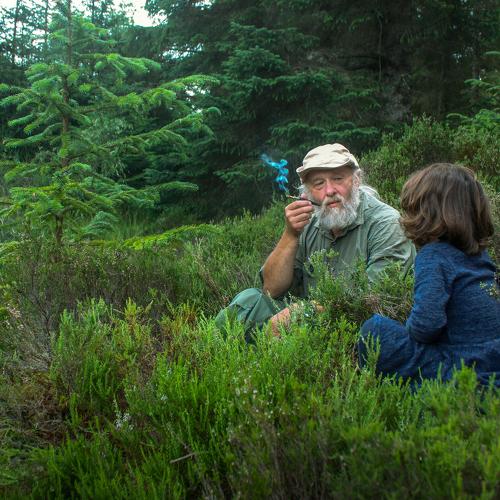 Photo #3763504