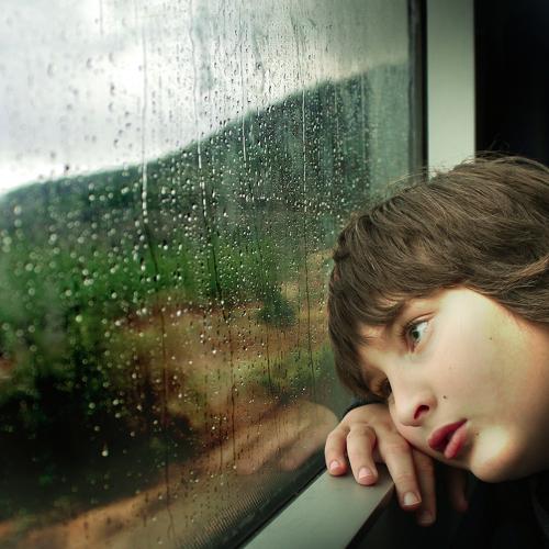 Photo #3763519