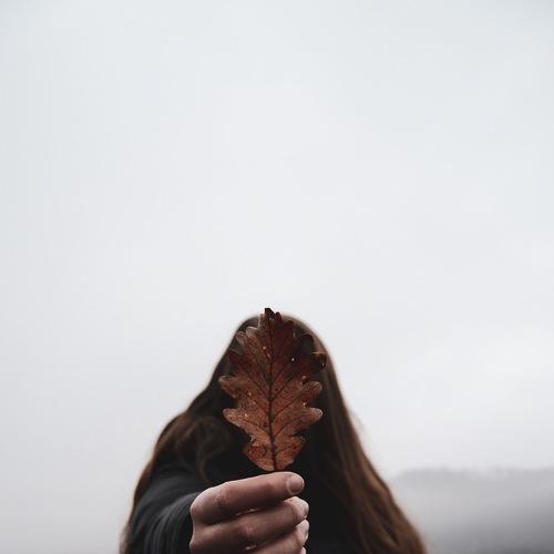 Photo #3763685