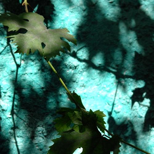 Photo #3763736