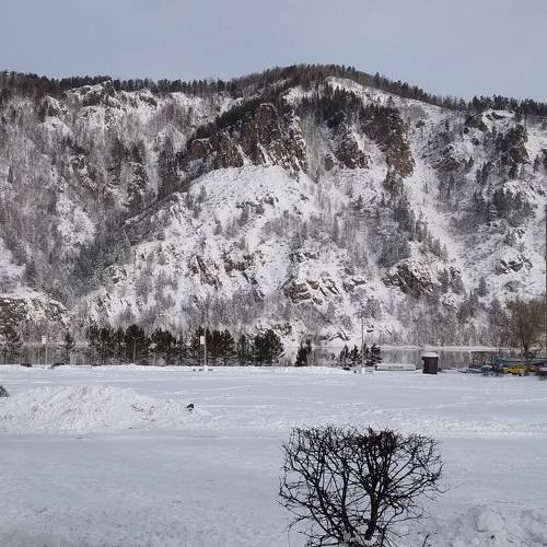 Photo #3763963