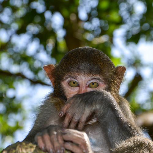 Photo #3764009