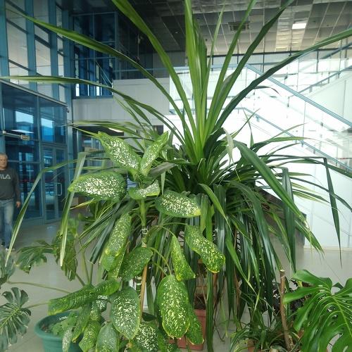 Photo #3764404