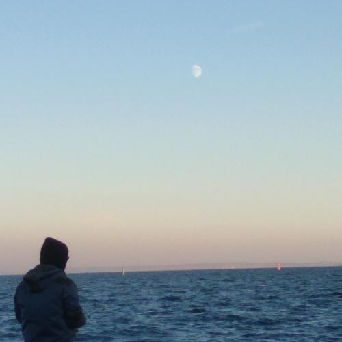 Photo #3764452