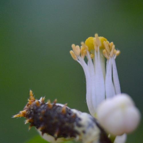 Photo #3764481