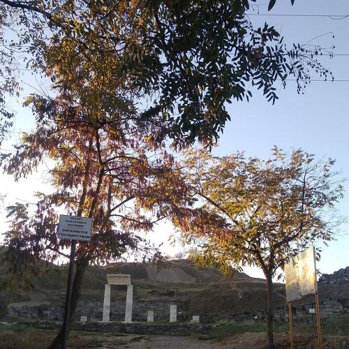 Photo #3764491