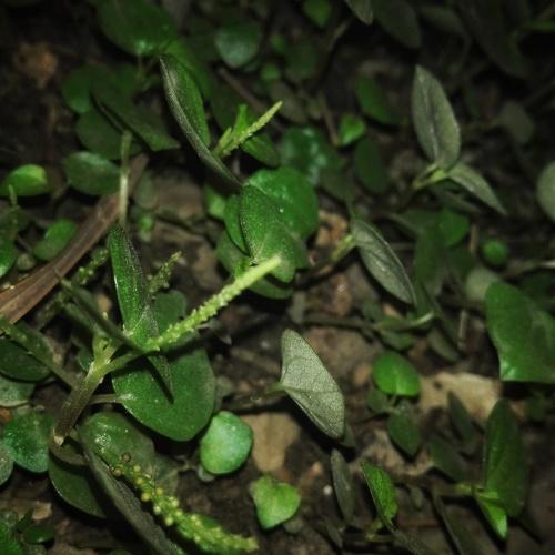 Photo #3764601