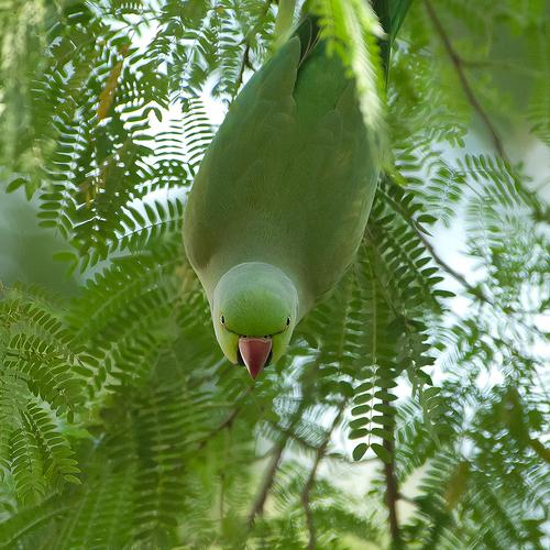 Photo #3764642