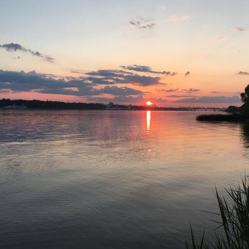 Photo #3766558