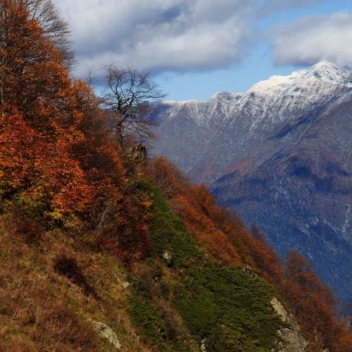 Photo #3766650