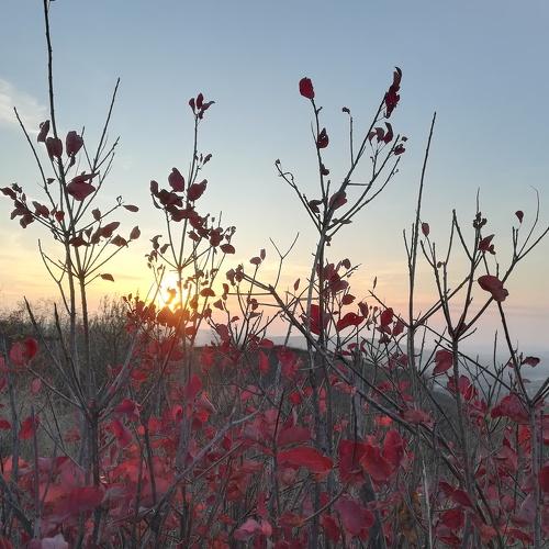 Photo #3767245