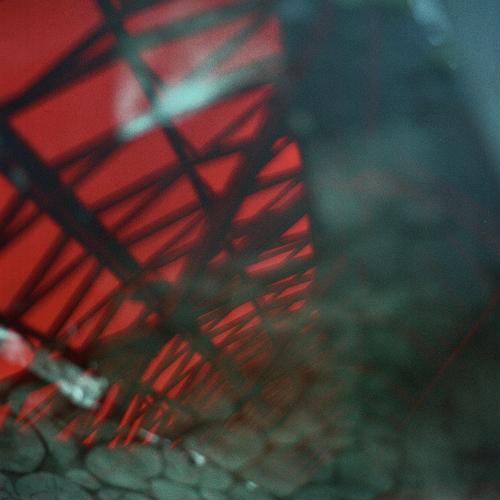 Photo #3767522