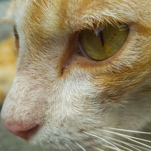 Photo #3767570