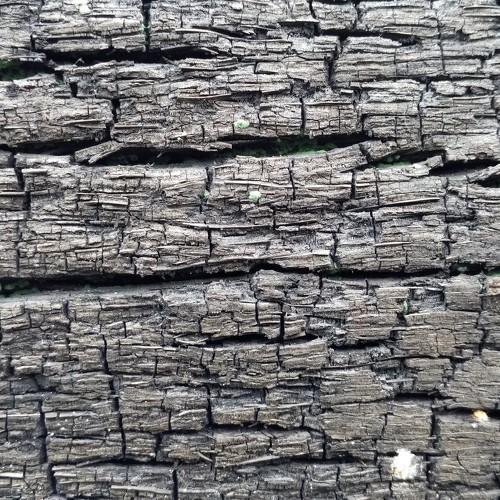 texture pattern close-up of the remaining burning of tree trunks.