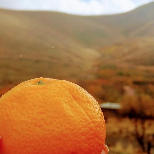 Photo #3767837