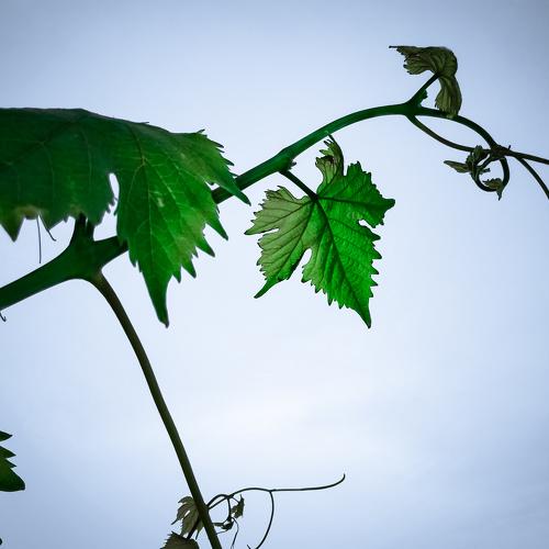 Photo #3768386