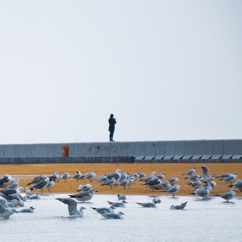 Photo #3768592