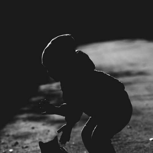 Photo #3768690
