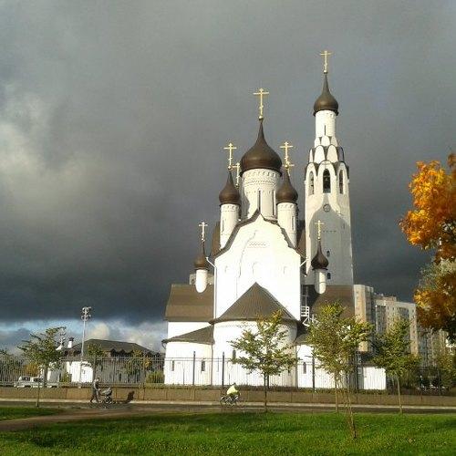Photo #3768887