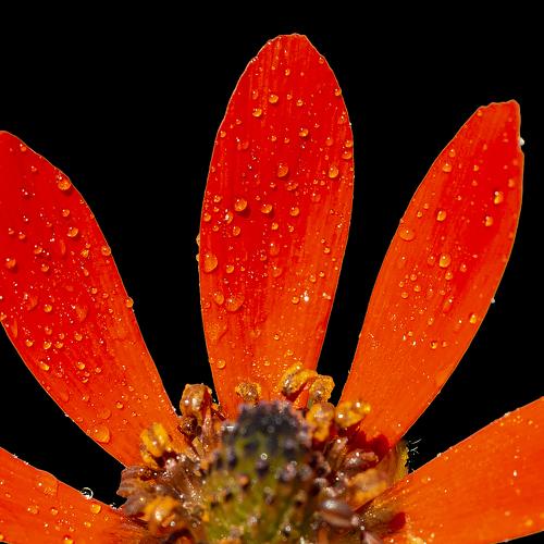 Photo #3769122