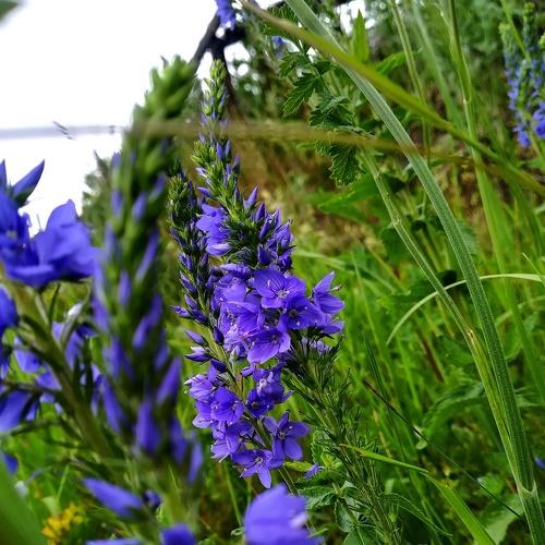 Photo #3769242