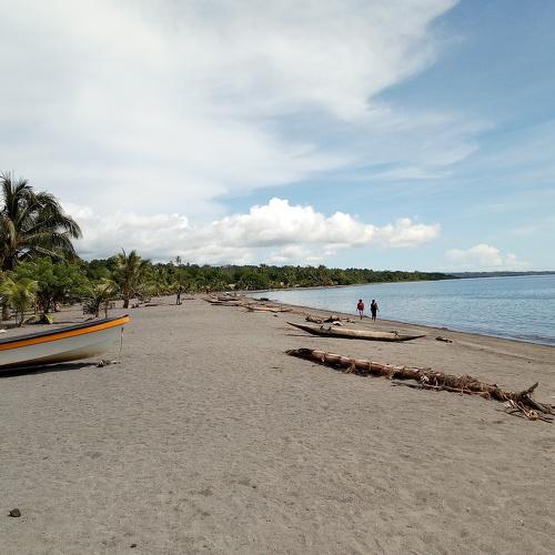 Photo #3769252