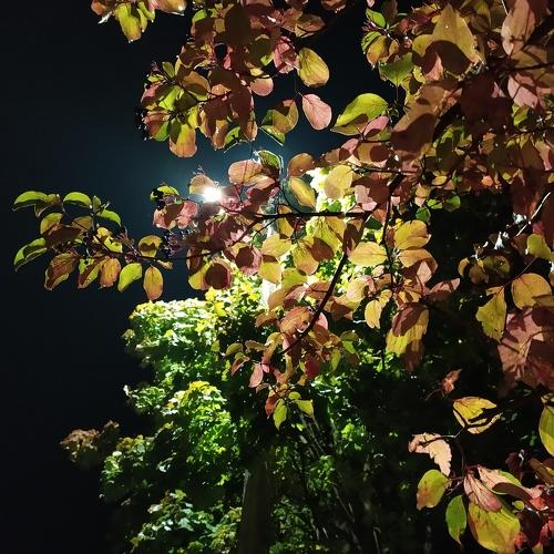 Photo #3769443
