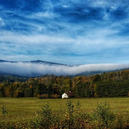 Photo #3770566