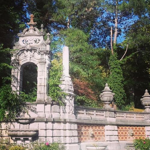 Photo #3770865