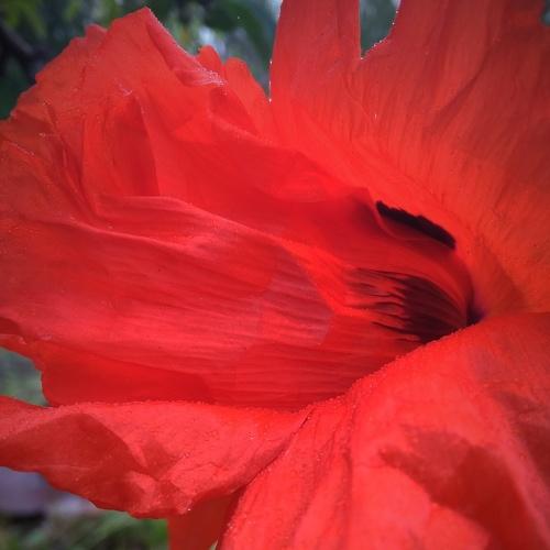 Photo #3771204