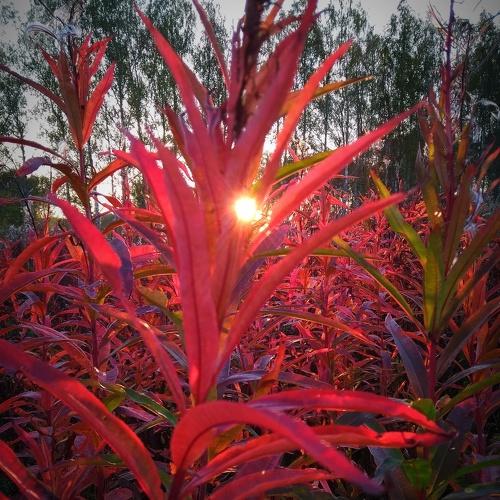 Photo #3771220