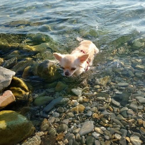 Photo #3771247