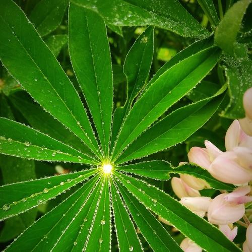 Photo #3771326