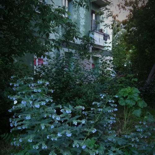 Photo #3771363
