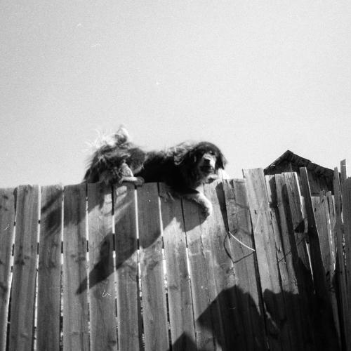 Photo #3771378