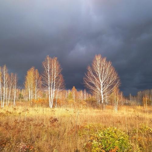 Photo #3771389