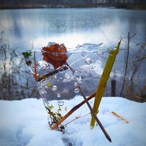 Photo #3771402