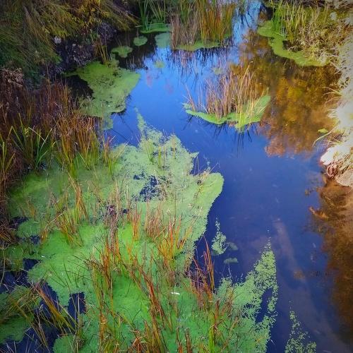 Photo #3771426