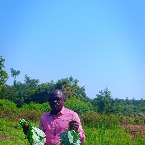 Photo #3771592