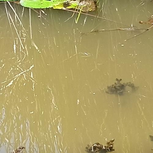 Photo #3771598