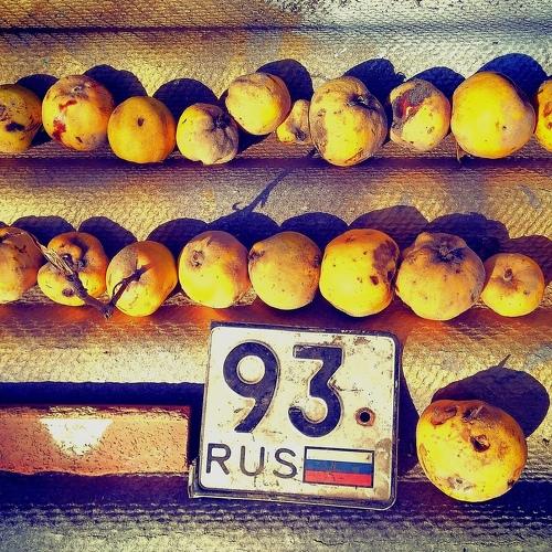 Photo #3771895
