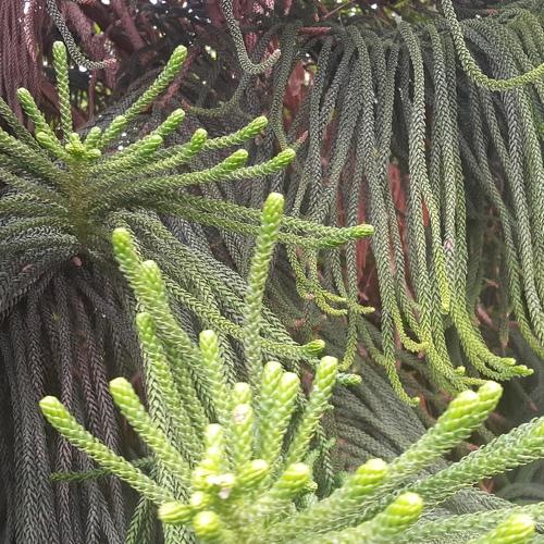 Photo #3771959